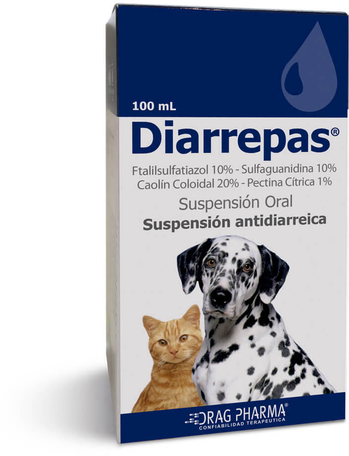 Foto Diarrepas